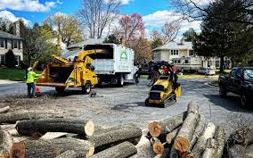 Best Tree Risk Assessment  in Exeter, CA