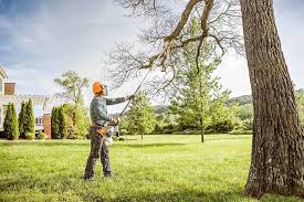 Best Commercial Tree Services  in Exeter, CA