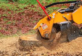 How Our Tree Care Process Works  in  Exeter, CA